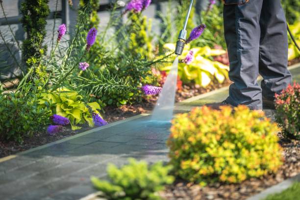 Best Factory Floor Cleaning  in Pingree Grove, IL